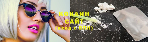 дживик Няндома