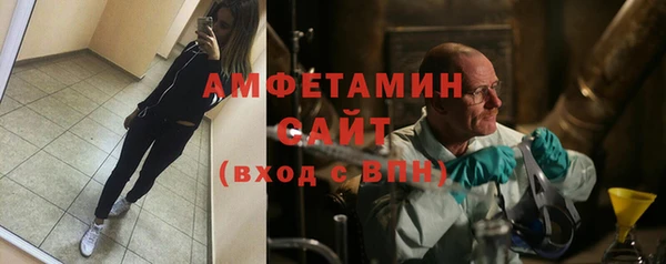 дживик Няндома