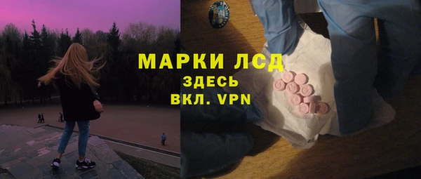 хмурый Осинники