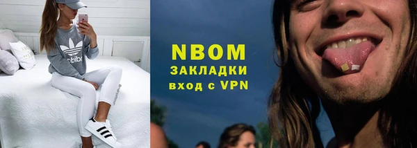 хмурый Осинники