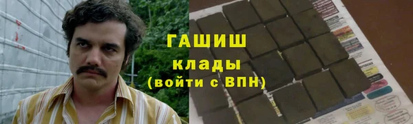 прущие грибы Волосово