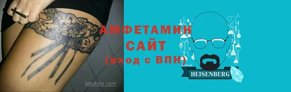 дживик Няндома