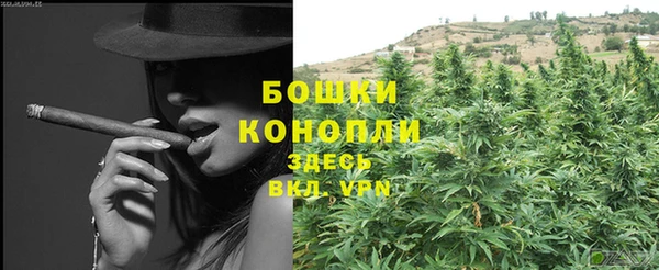 хмурый Осинники