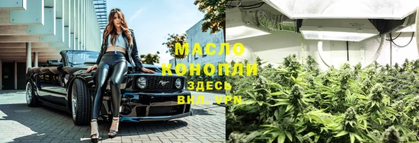 молекула духа Нязепетровск