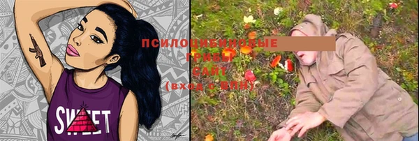 дживик Няндома