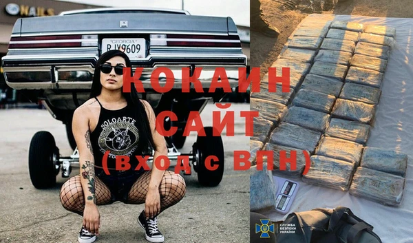 хмурый Осинники