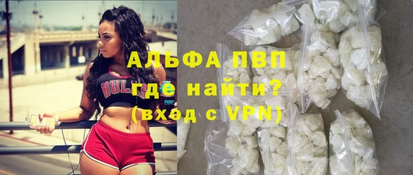 хмурый Осинники