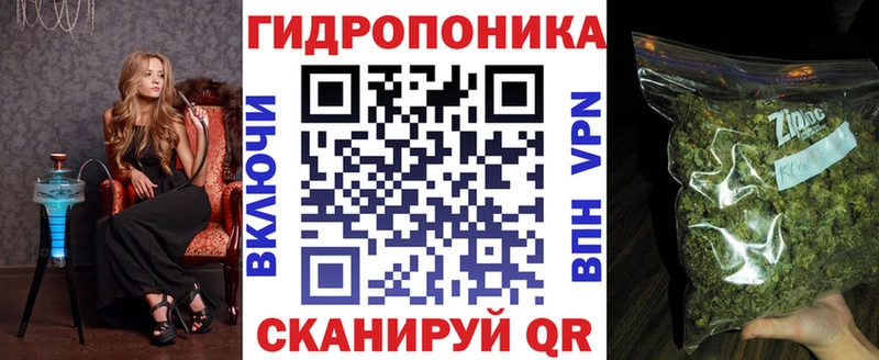 Бошки марихуана план  купить  цена  Катайск 